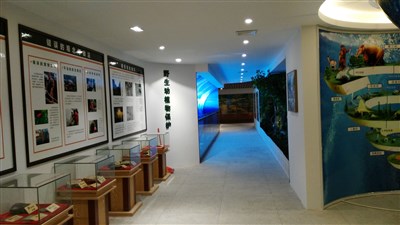 500平米展廳設計制作：現(xiàn)代/綠色，教育類展廳-桂林植物園科普展廳（免費使用）